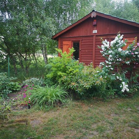 Domki Domek Na Jeziorem Wilczynskim Budzislawskim , Las, Osobno Ogrodzony 2-6 Osob- Klimatyzacja, Ogrzewanie, 62-550 Zygmuntowo Gm Wilczyn 외부 사진