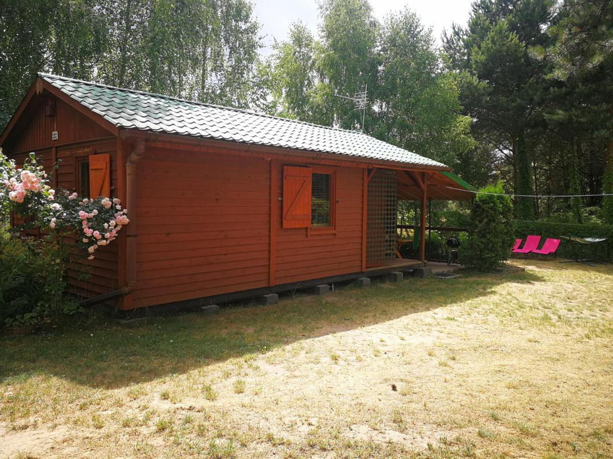 Domki Domek Na Jeziorem Wilczynskim Budzislawskim , Las, Osobno Ogrodzony 2-6 Osob- Klimatyzacja, Ogrzewanie, 62-550 Zygmuntowo Gm Wilczyn 외부 사진