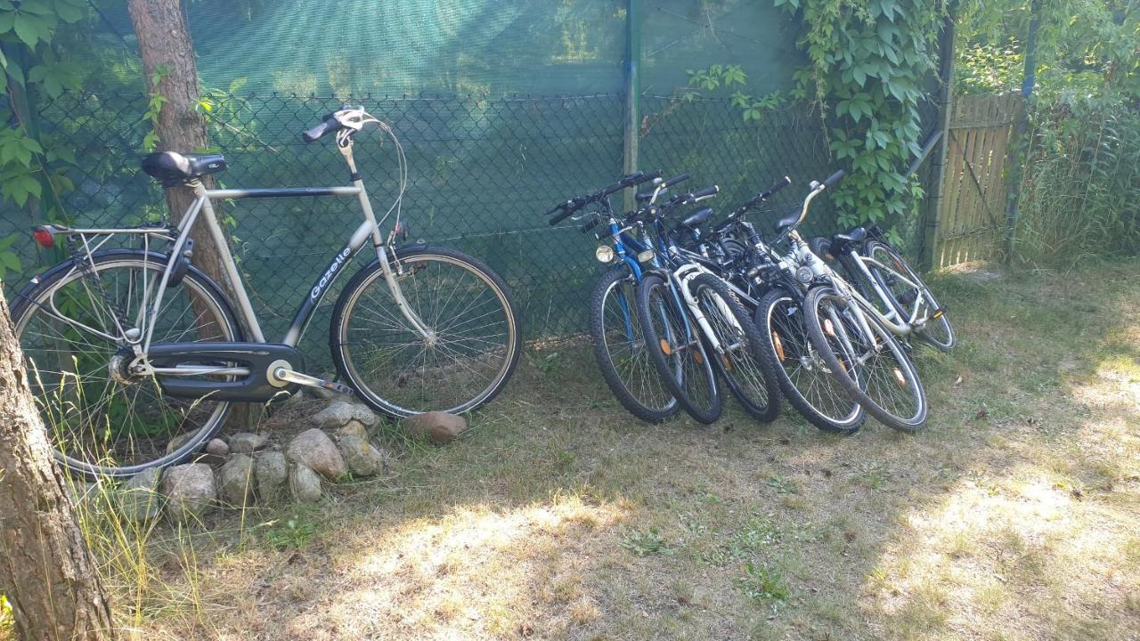 Domki Domek Na Jeziorem Wilczynskim Budzislawskim , Las, Osobno Ogrodzony 2-6 Osob- Klimatyzacja, Ogrzewanie, 62-550 Zygmuntowo Gm Wilczyn 외부 사진