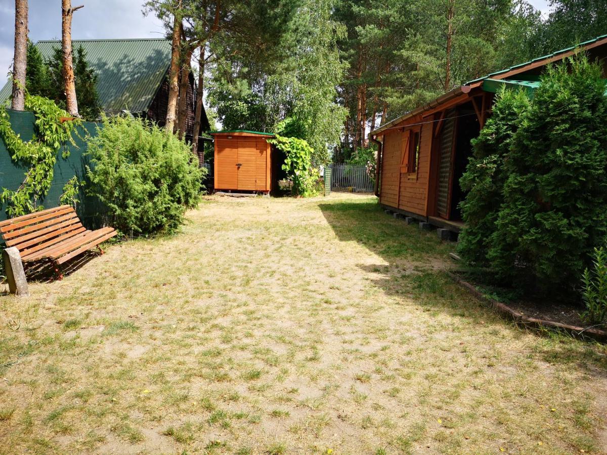 Domki Domek Na Jeziorem Wilczynskim Budzislawskim , Las, Osobno Ogrodzony 2-6 Osob- Klimatyzacja, Ogrzewanie, 62-550 Zygmuntowo Gm Wilczyn 외부 사진