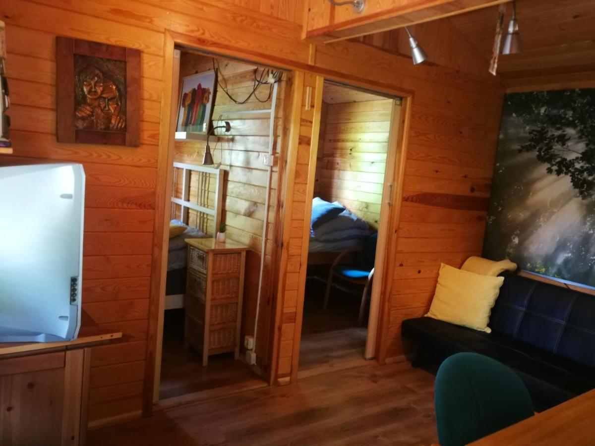 Domki Domek Na Jeziorem Wilczynskim Budzislawskim , Las, Osobno Ogrodzony 2-6 Osob- Klimatyzacja, Ogrzewanie, 62-550 Zygmuntowo Gm Wilczyn 외부 사진
