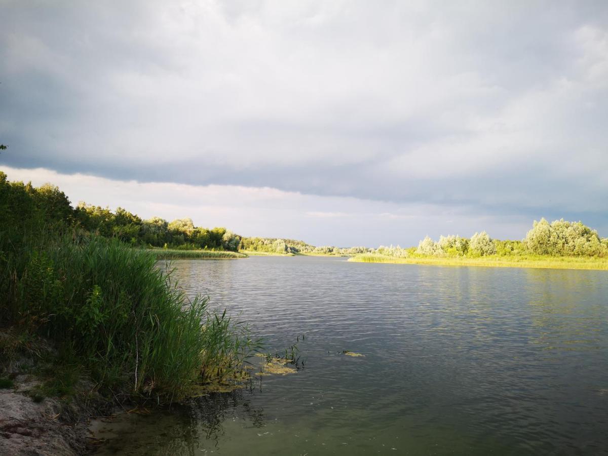 Domki Domek Na Jeziorem Wilczynskim Budzislawskim , Las, Osobno Ogrodzony 2-6 Osob- Klimatyzacja, Ogrzewanie, 62-550 Zygmuntowo Gm Wilczyn 외부 사진