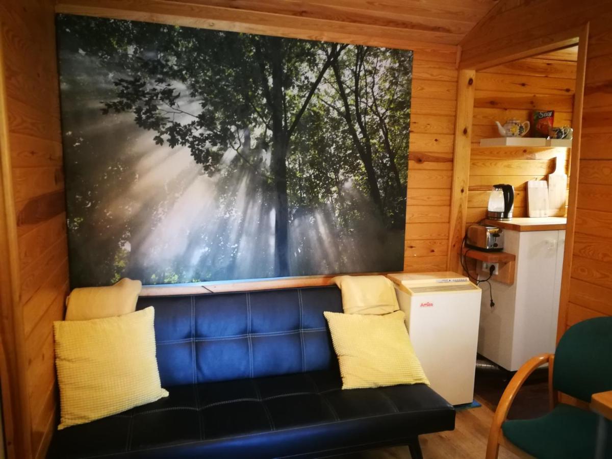 Domki Domek Na Jeziorem Wilczynskim Budzislawskim , Las, Osobno Ogrodzony 2-6 Osob- Klimatyzacja, Ogrzewanie, 62-550 Zygmuntowo Gm Wilczyn 외부 사진