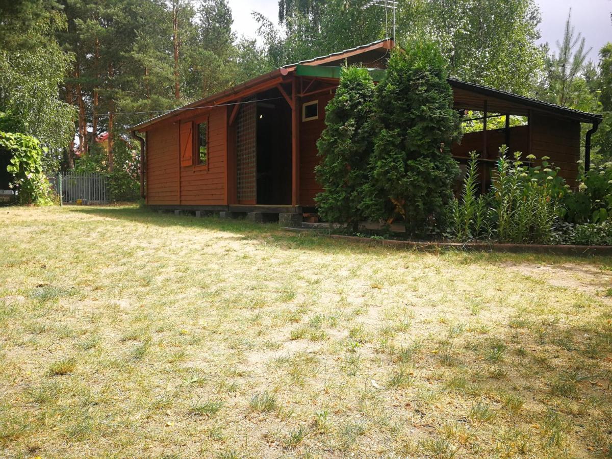 Domki Domek Na Jeziorem Wilczynskim Budzislawskim , Las, Osobno Ogrodzony 2-6 Osob- Klimatyzacja, Ogrzewanie, 62-550 Zygmuntowo Gm Wilczyn 외부 사진